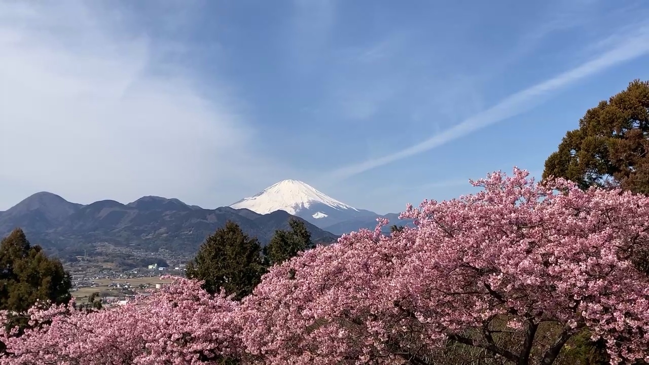 Fuji-san showing her icy peak