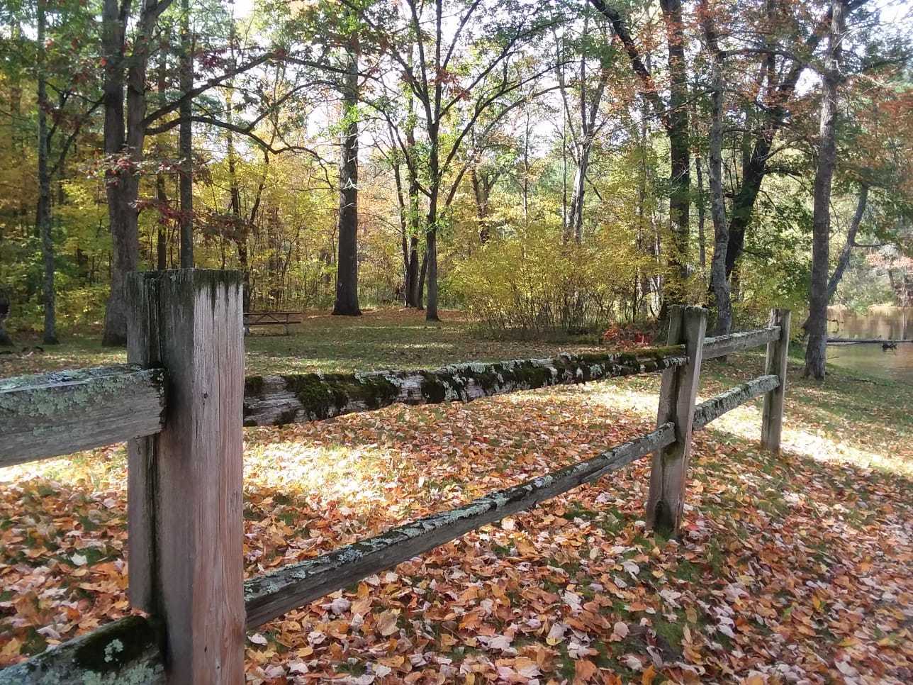 A rotted fence in Clam Damn Park