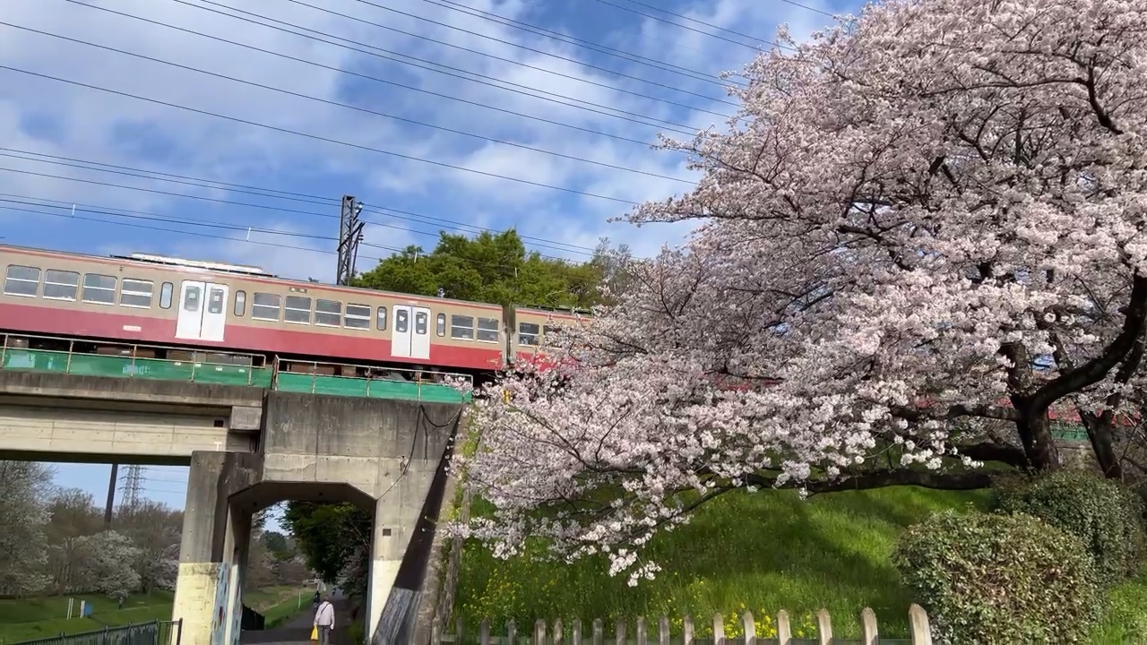 train in Koganei (小金井市, Koganei-shi) is a city located in the western portion of Tokyo, Japan. 