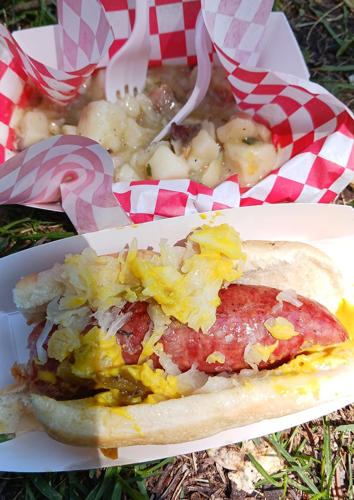 Brats and potato salad