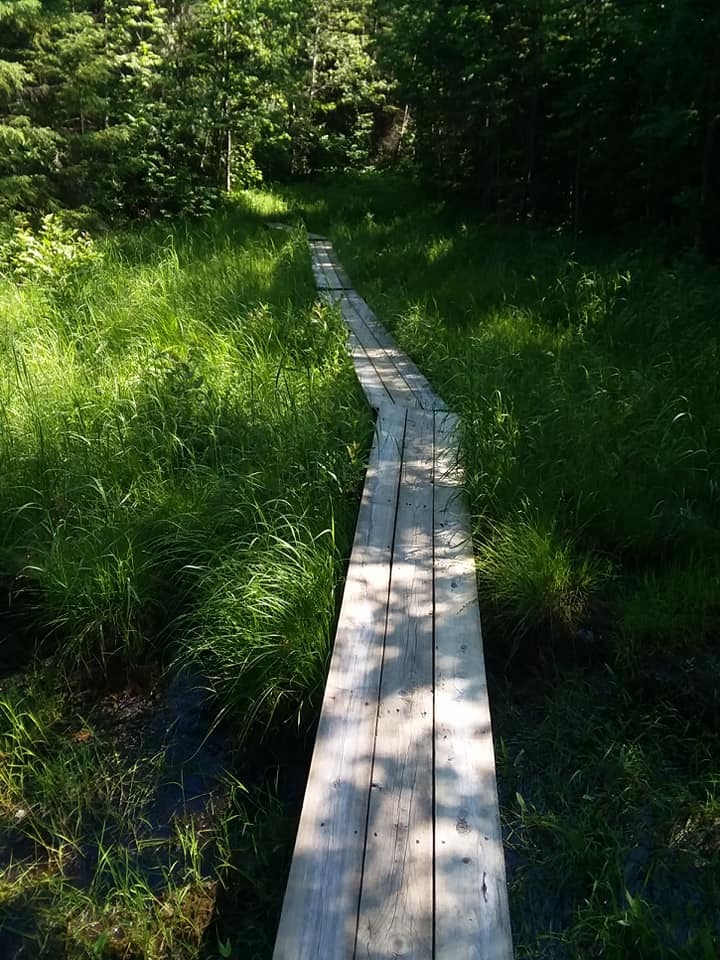 A section of the path with a boardwalk over a boggy area.