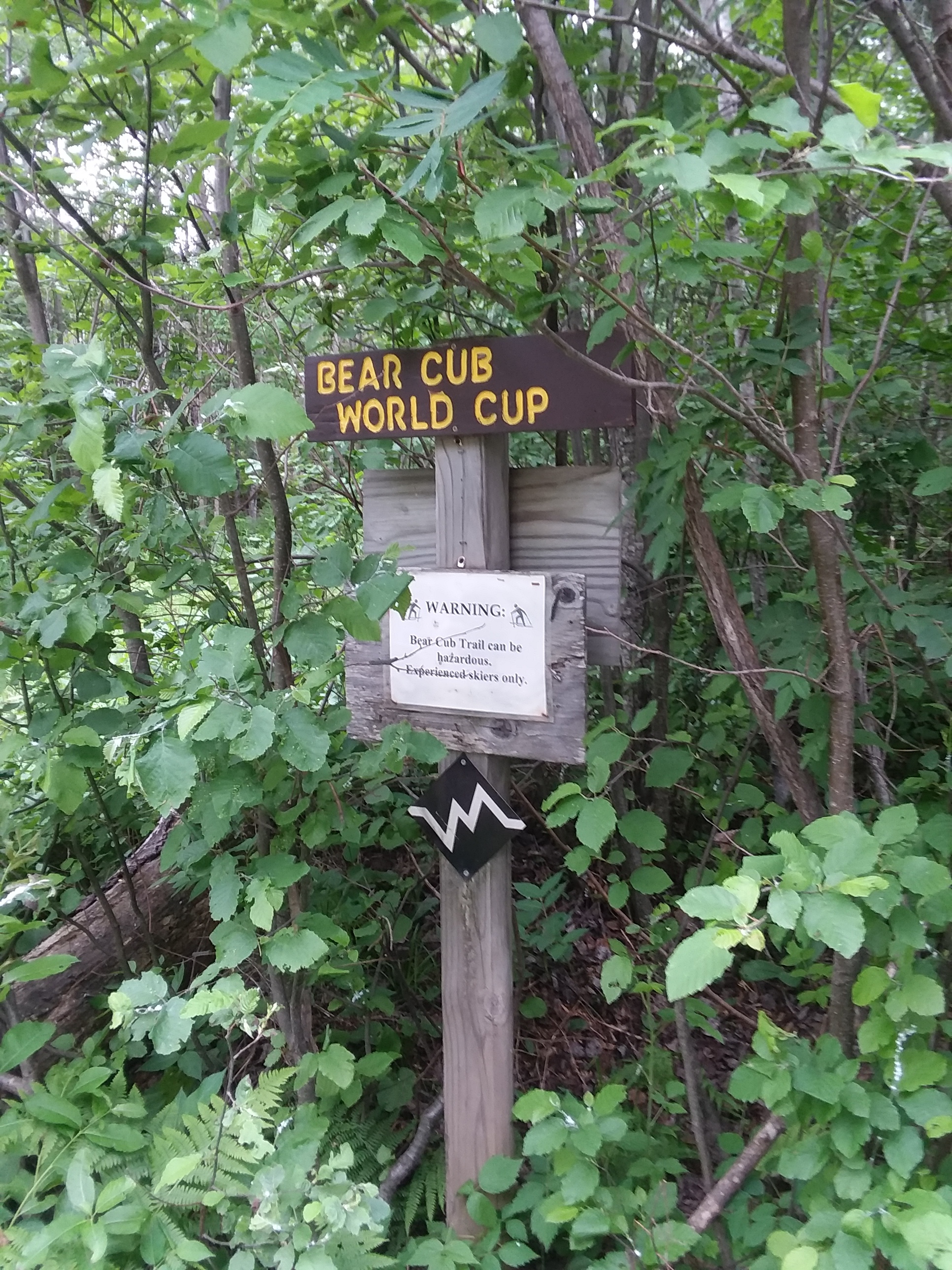 Bear Cub World Cup, please note the elevation indicator blow the sign. It looks like a heartbeat.